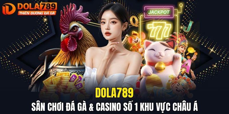 DOLA789 sân chơi đá gà số 1
