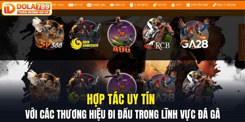 Hợp tác uy tín với các thương hiệu đi đầu trong lĩnh vực đá gà